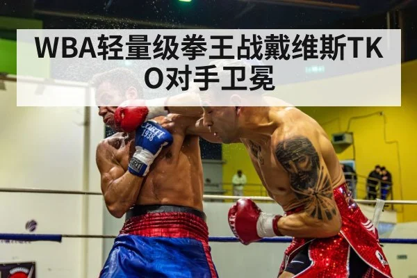 WBA轻量级拳王战戴维斯TKO对手卫冕（jiuyou game）